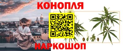 СК Балашиха