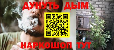 скорость Дубна