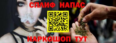 СК Балашиха