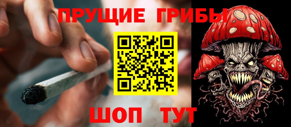 Псилоцибиновые грибы мухоморы Гусиноозёрск