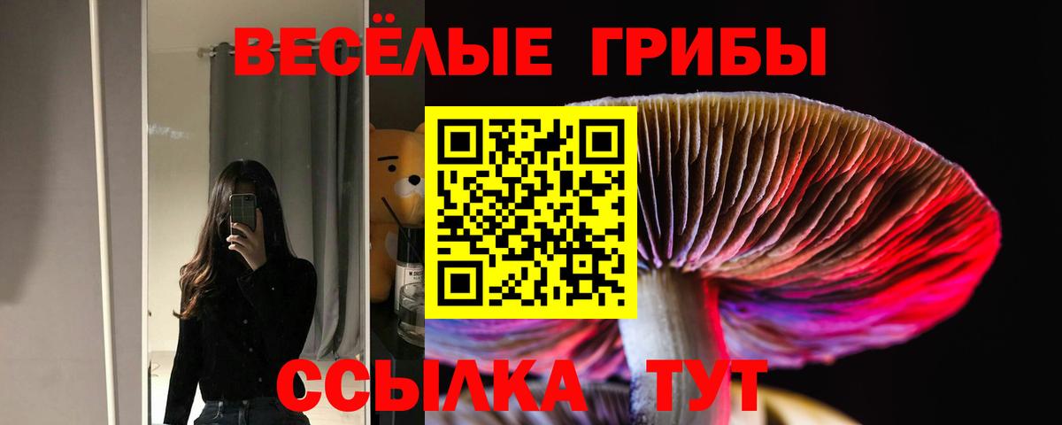 Псилоцибиновые грибы мухоморы  Вход с VPN  Гусиноозёрск  Псилоцибиновые грибы ЛСД 